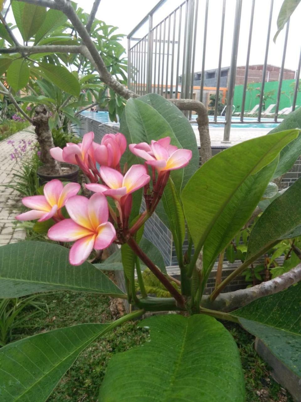Fortune Front One Hotel Kendari Eksteriør bilde